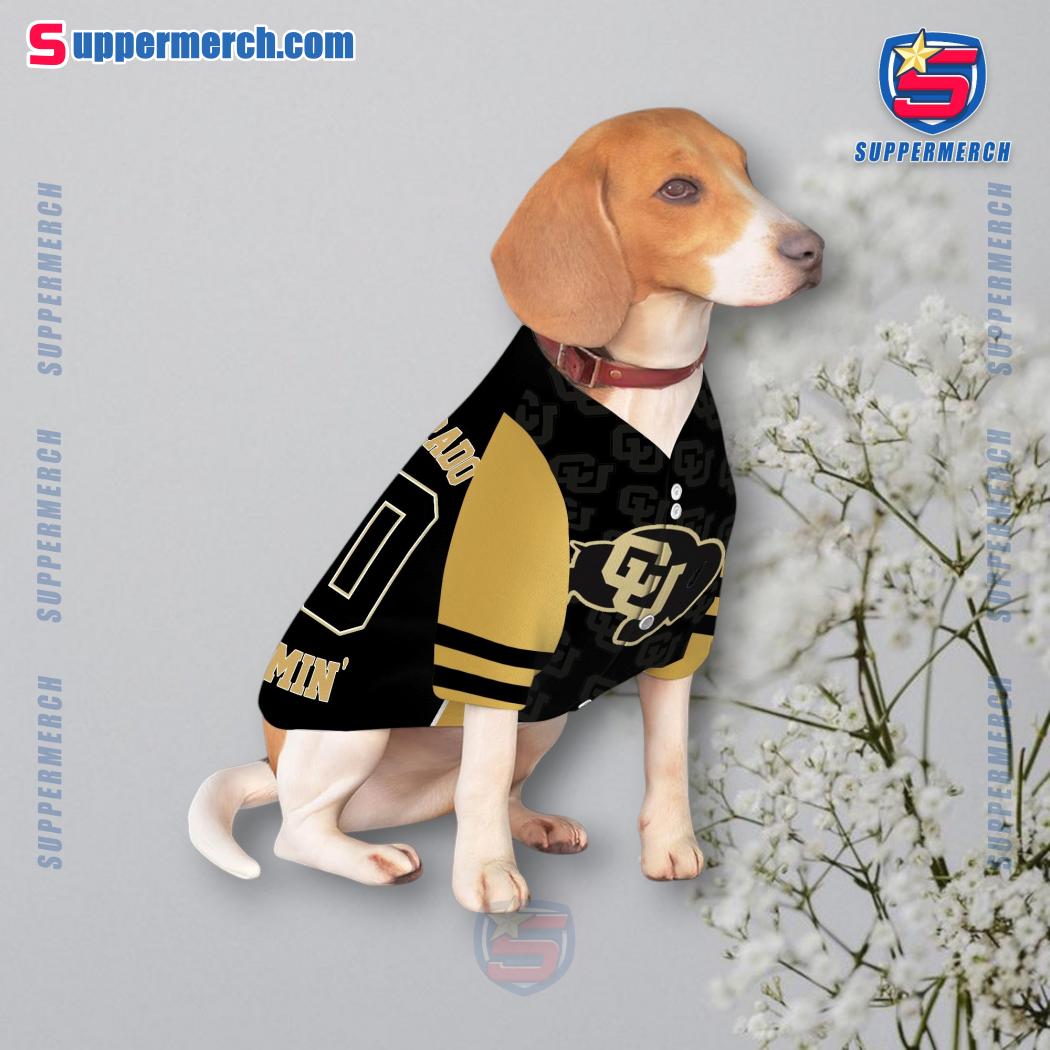 Colorado Buffaloes We Comin' Personalized Pet Jersey c